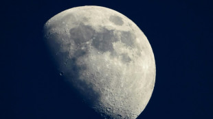 Un "condensé" du patrimoine de l'humanité envoyé sur la Lune