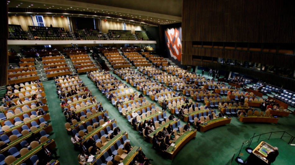 Argentina reclama en la ONU al FMI que deje de cobrar sobretasas de interés