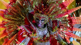 El primer Óscar para Brasil alimenta el éxtasis del Carnaval de Rio