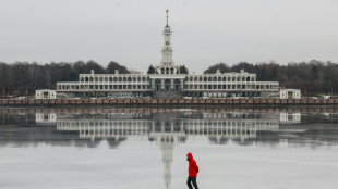 'Less snow': warm January weather breaks records in Moscow