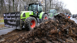 Erste Blockadeaktionen von Landwirten - Dutzende Traktoren vor Brandenburger Tor