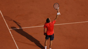 Roland-Garros: Djokovic pour enfin être seul au sommet