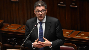 Giorgetti, no alla riforma del Mes, è 'sale sulla ferita'