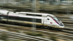SNCF: la ligne LGV Sud-Est paralysée, 80.000 voyageurs affectés