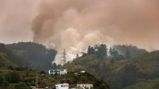 Mass evacuations as Tenerife wildfire rages out of control