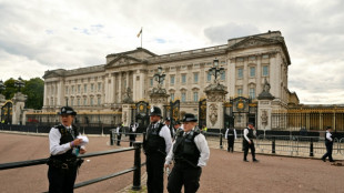 29,000 UK police called up for massive coronation security operation