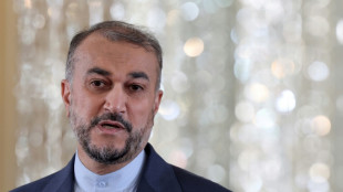 Iran says nuclear talks at 'critical' stage