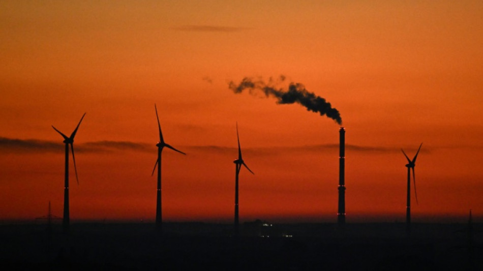 Verbände fordern vor UN-Klimakonferenz größere Anstrengungen - auch in Deutschland