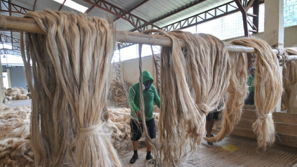 Agrícola japonesa se dice insolvente ante indeminzaciones por esclavitud en Ecuador