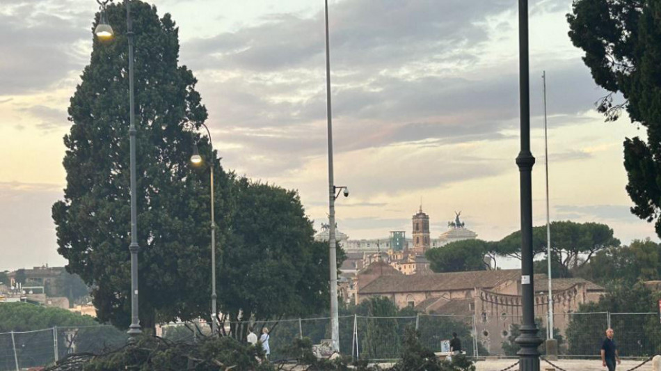 Indagine su alberi caduti a Roma, in 23 rischiano processo