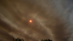 Incêndios ameaçam os modos de vida dos 'guardiões' do Pantanal