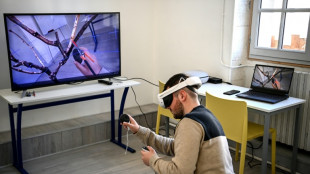 Viticulture: à Cognac, la réalité virtuelle au service de la taille des vignes