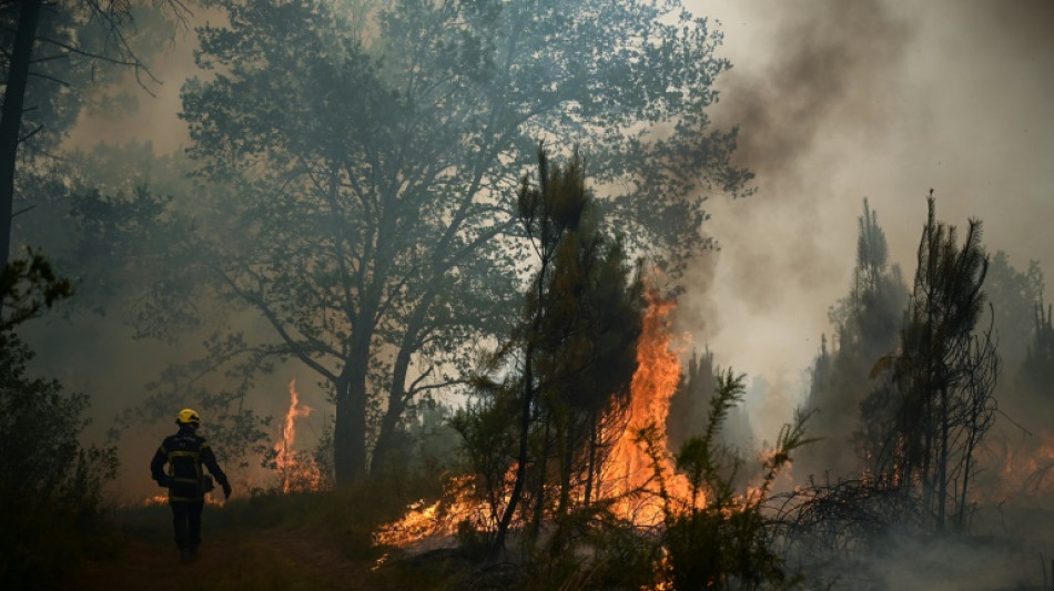 Europe burns as heatwave breaks temperature records