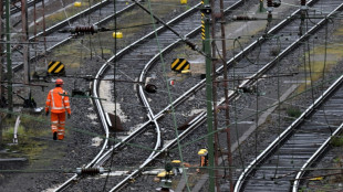 34 Tonnen Stahlschwellen von Deutscher Bahn in Speyer gestohlen