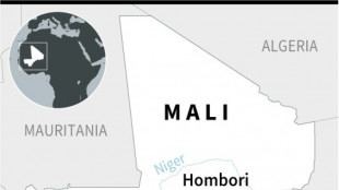 50 civilians die in sweep by Malian and 'foreign' troops: UN  