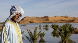 Lluvias torrenciales devuelven la vida al desierto del Sáhara en Marruecos