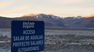 Chile acelera na corrida pelo lítio e explora novas salinas