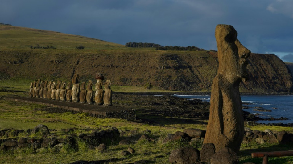 Un estudio descarta que la sobrepoblación haya causado un "ecocidio" en la Isla de Pascua