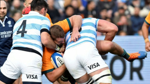 Cheika expects Pumas to front up against Australia