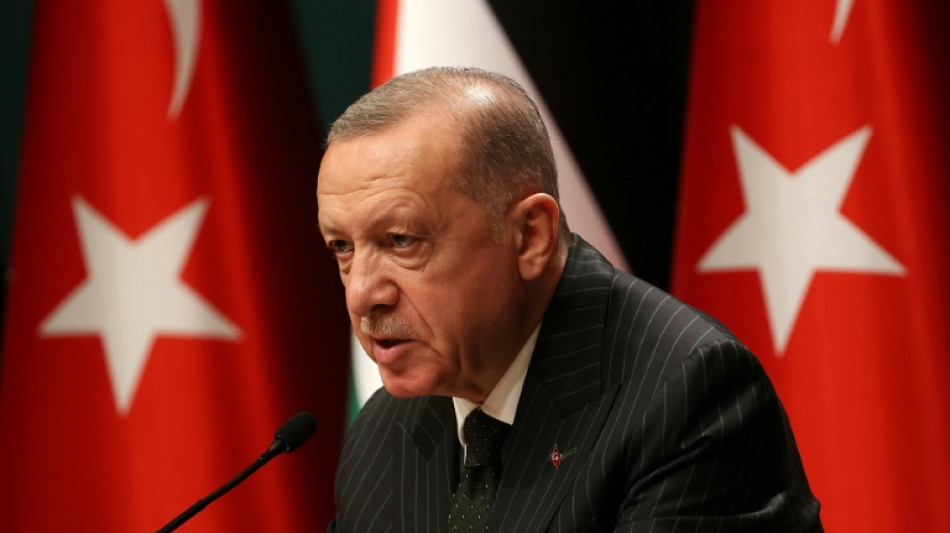 Erdogan challenges Greece over airspace violations 