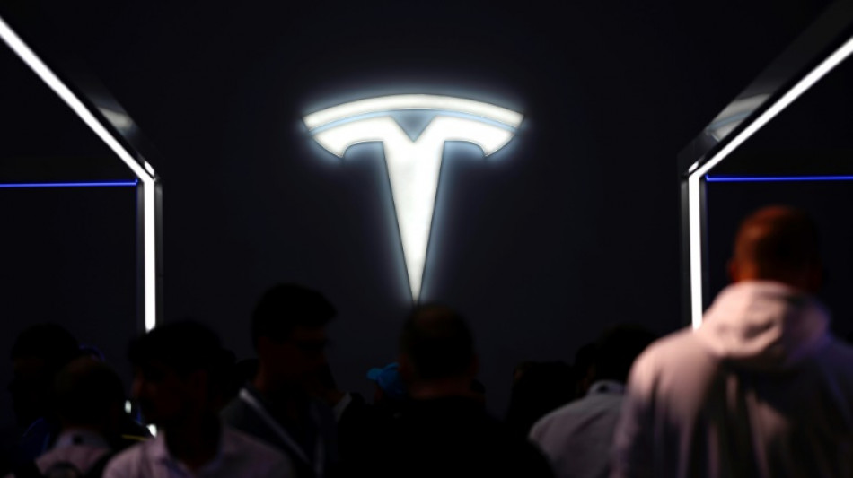 IG Metall: Gericht stoppt vorerst Betriebsratswahl bei Tesla