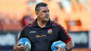 Waikato Chiefs coach McMillan to take reins at Munster