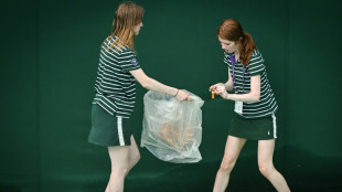 Climate protesters disrupt Wimbledon match