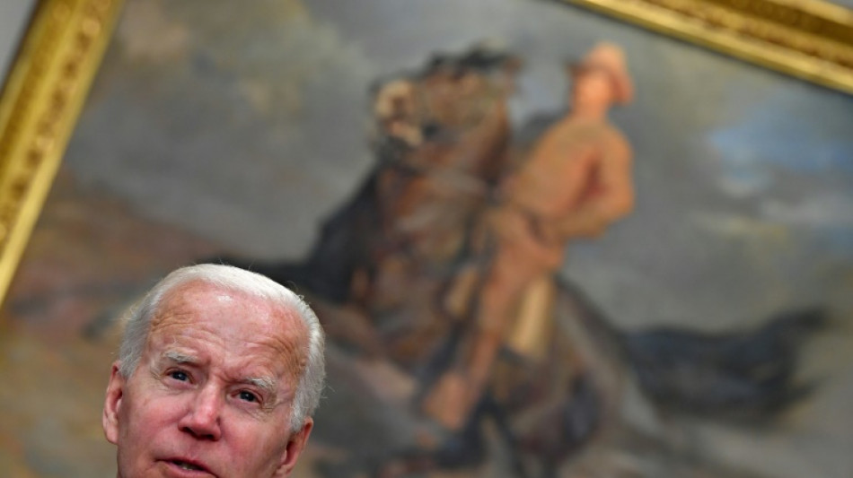 Biden, fragile at home, faces historic leadership task in Europe