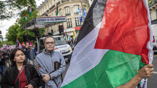 Francia, riconoscere Palestina non è un tabù ma non è il momento