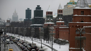 Deutsch-Russische Auslandshandelskammer hofft auf Scholz-Treffen mit Putin