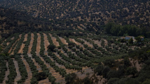 La UE aprueba los planes agrícolas estratégicos de siete países, incluidos España y Portugal