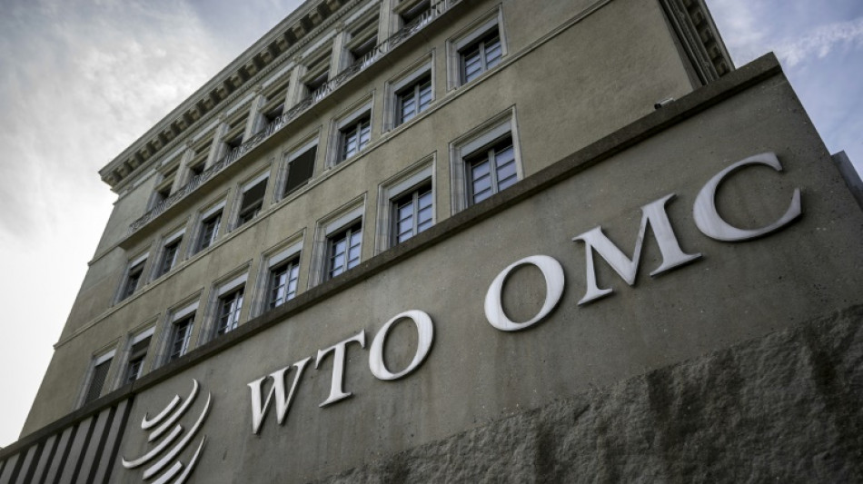 Trump tariffs leave WTO adrift in eye of the storm