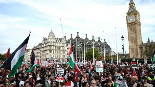 Manifestaciones en Londres, París y Zúrich por un alto el fuego en Gaza