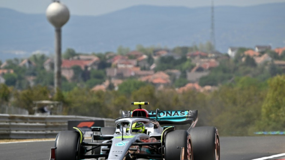 'It's a struggle,' says Hamilton as Mercedes off pace in Hungary