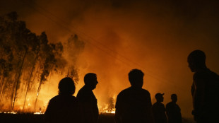 Portugal tackles last of deadly northern forest fires