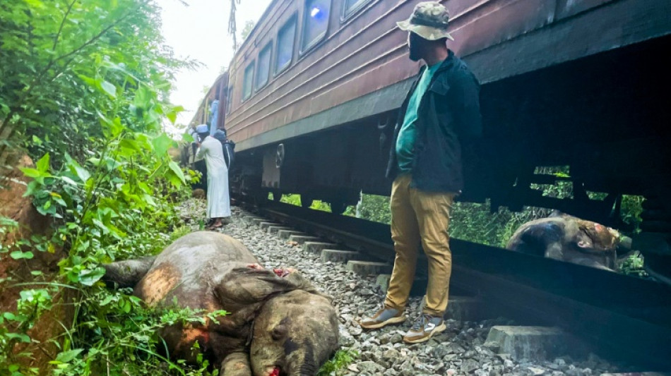 Sri Lanka passenger train kills six elephants