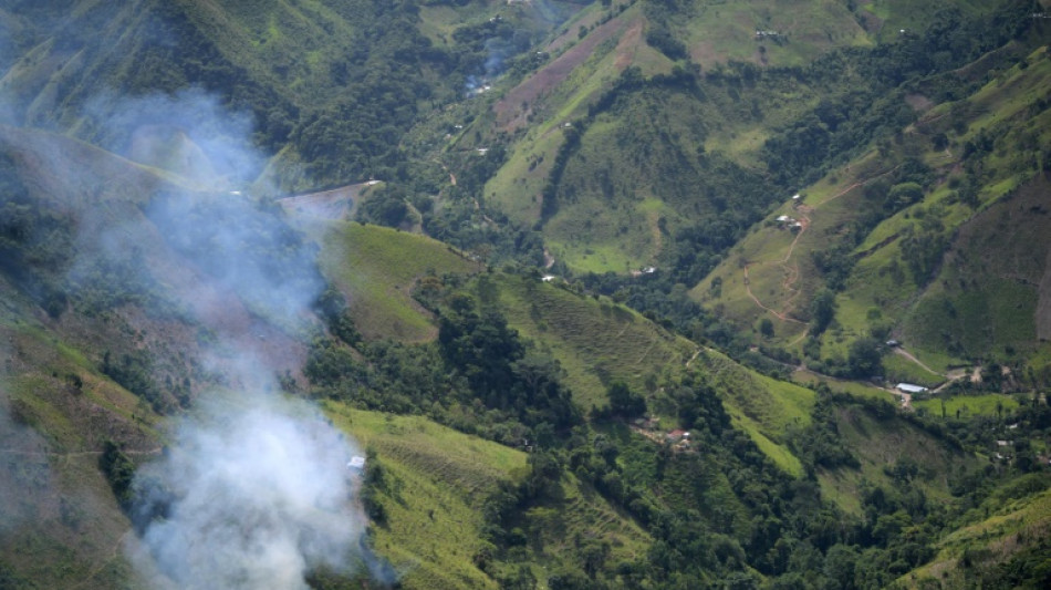 Colombia rompe récord histórico de narcocultivos: 204.000 hectáreas en 2021