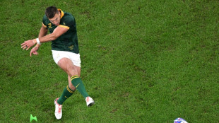 Mondial-2023: Pollard, l'atout maître des Springboks