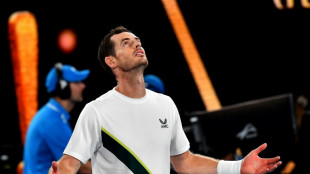 Open d'Australie: chaud en journée, bouillant en soirée avec Murray et Djokovic