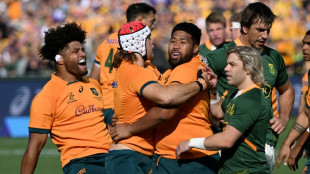 Rennie keeps faith with Wallabies team that beat South Africa