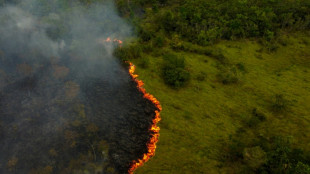 Colombia fue el país con más ambientalistas asesinados en 2022