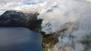 Avançam incêndios em florestas nativas da Patagônia argentina