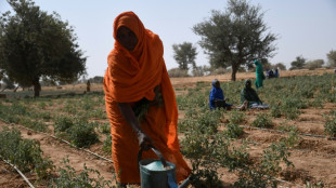 Réfugiés au Niger depuis dix ans, des Maliens veulent y faire leur vie